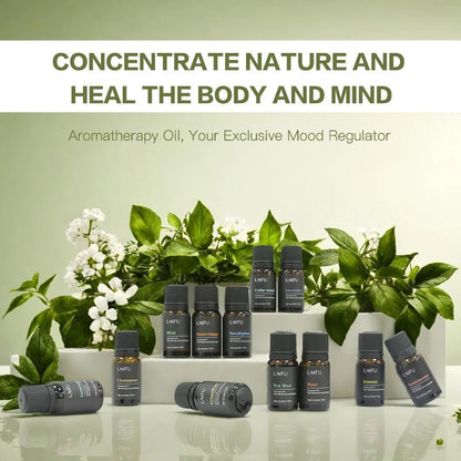 12 Autumn Essential Oils for Diffusers Soap Candle Making - Blu Lotus Boutique