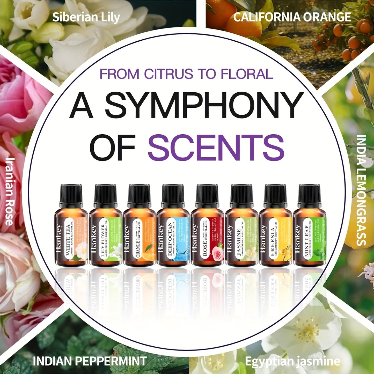 12 Autumn Essential Oils for Diffusers Soap Candle Making - Blu Lotus Boutique