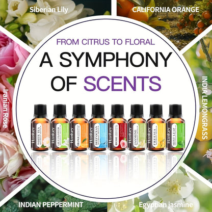 12 Autumn Essential Oils for Diffusers Soap Candle Making - Blu Lotus Boutique