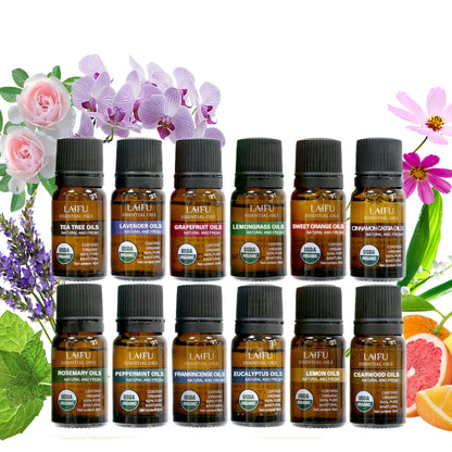 12 Autumn Essential Oils for Diffusers Soap Candle Making - Blu Lotus Boutique