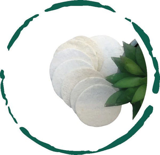 Natural Loofah Pads 5 - pcs - Blu Lotus Boutique