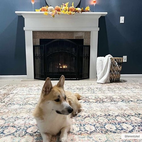Rust Maligaya Distressed Washable Area Rug - Blu Lotus Boutique