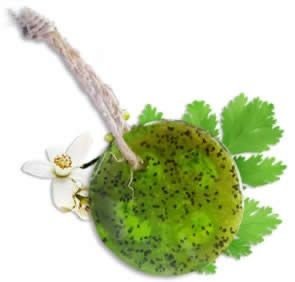 Speckless Soap Bar. Chia, Lemon, Parsley, and Coco - Blu Lotus Boutique