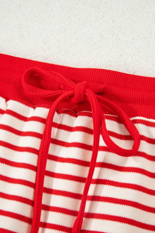 Stripe Collared V - Neck Pullover and Skort Set - Blu Lotus Boutique